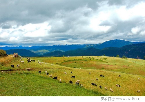 国庆带你心灵旅行——云南篇