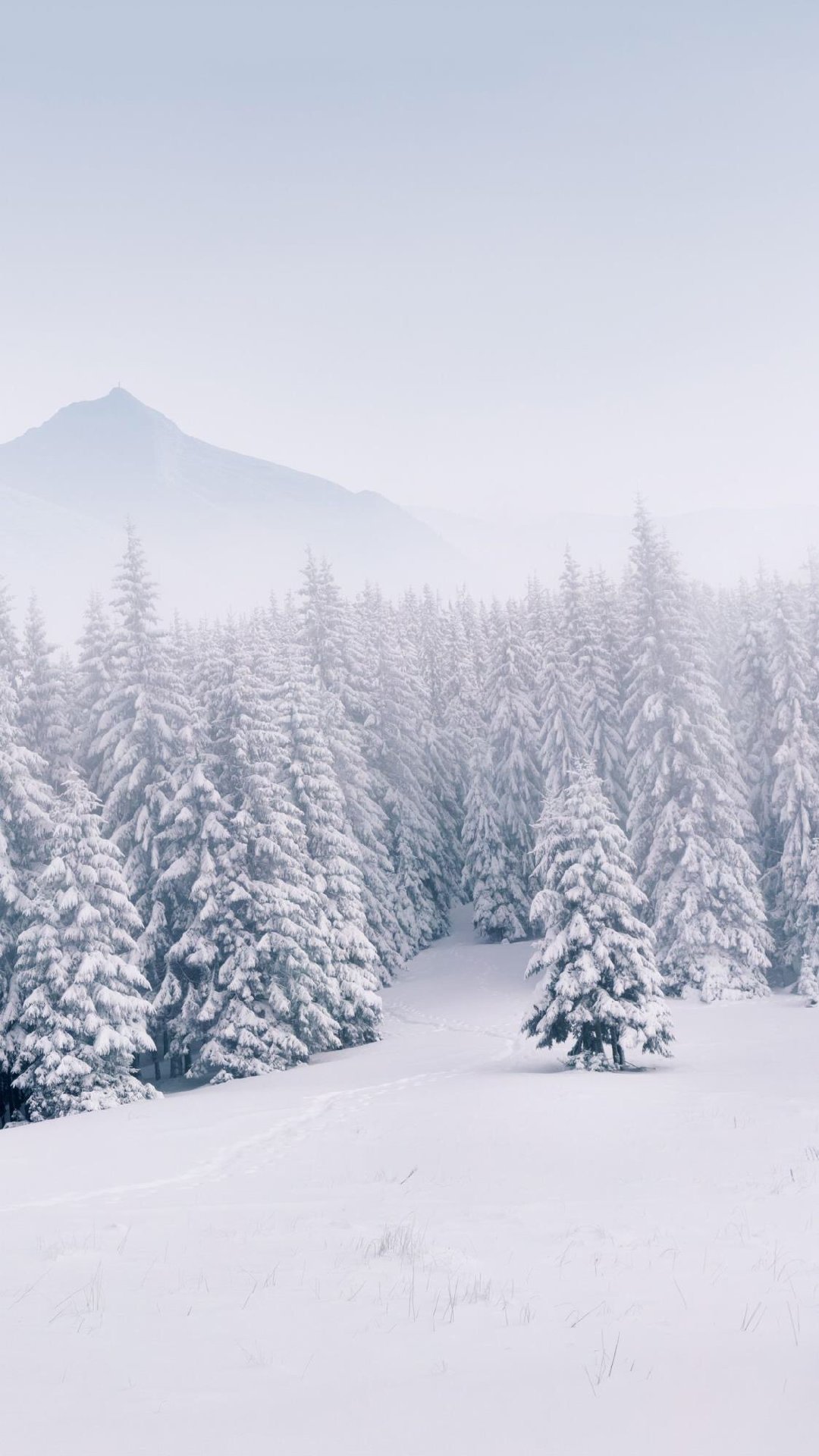 清新唯美雪景图手机壁纸