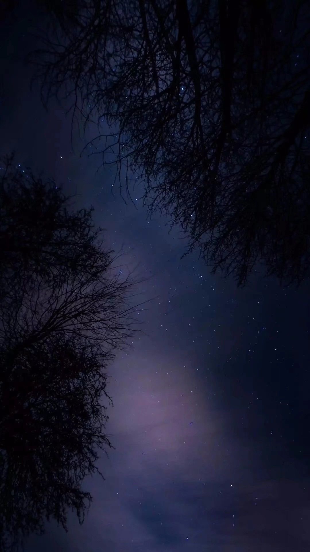 清新浪漫夜景手机壁纸