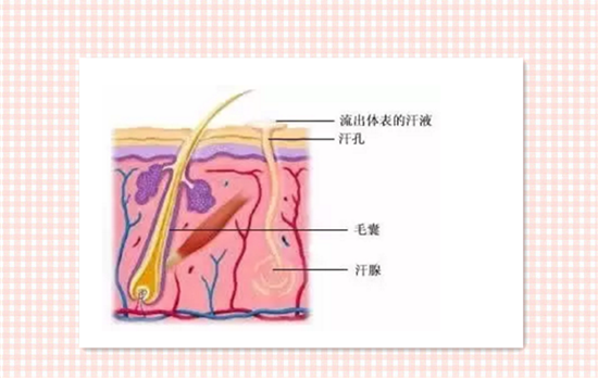 光子脱毛好吗 彩光脱毛好不好