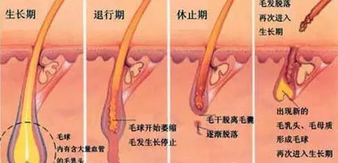 好用的脱毛产品推荐