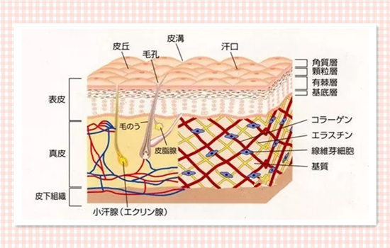 涂抹式水光针有副作用吗 涂摸式水光针的副作用