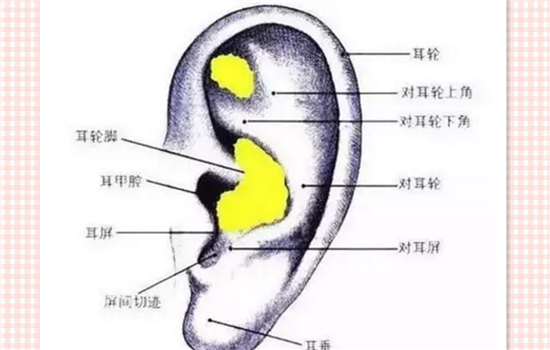 耳软骨垫鼻尖会歪吗 耳软骨垫鼻尖会移位吗