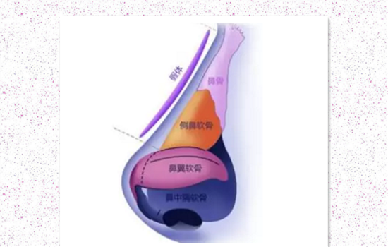 膨体隆鼻能做猪鼻子吗