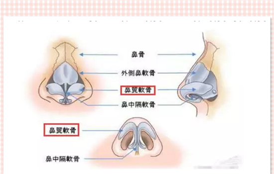 鼻头缩小的方法有哪些 怎么收鼻头