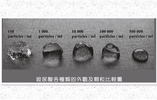 伊婉v型保持时间 伊婉v能维持多久