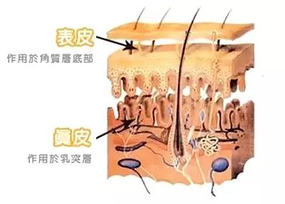 医美是什么意思