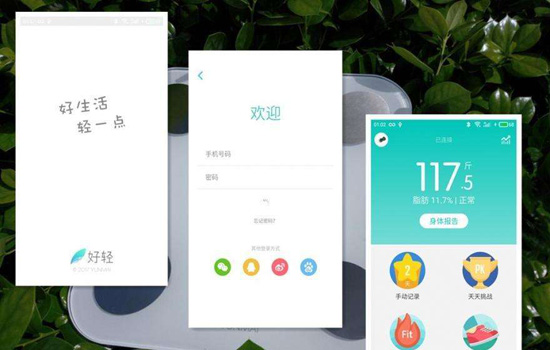 智能体脂秤app 体脂秤app哪个好用