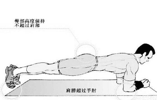 平板支撑能练出腹肌吗 平板支撑可以练腹肌吗