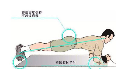 平板支撑动作要领 平板支撑的标准动作