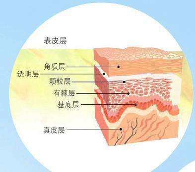 角质怎么去除 角质如何去除