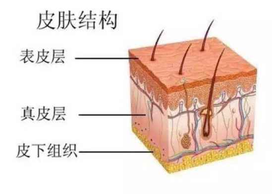 角质怎么去除 角质如何去除