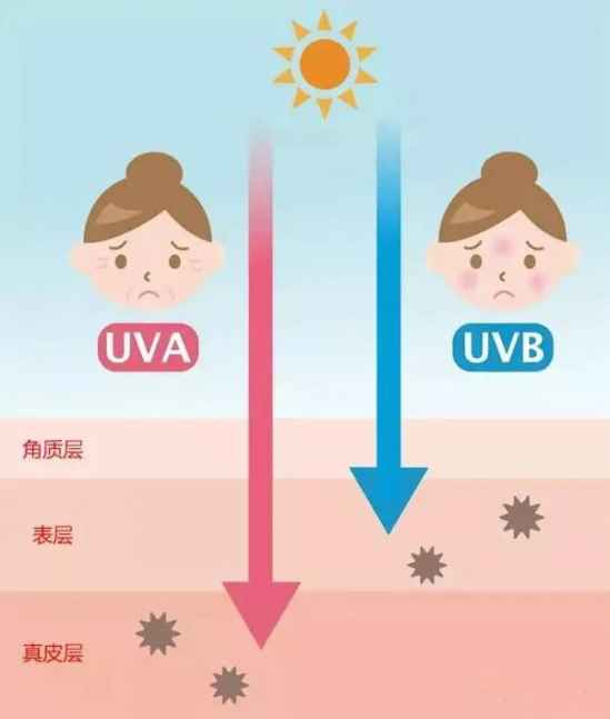 怎么变成冷白皮