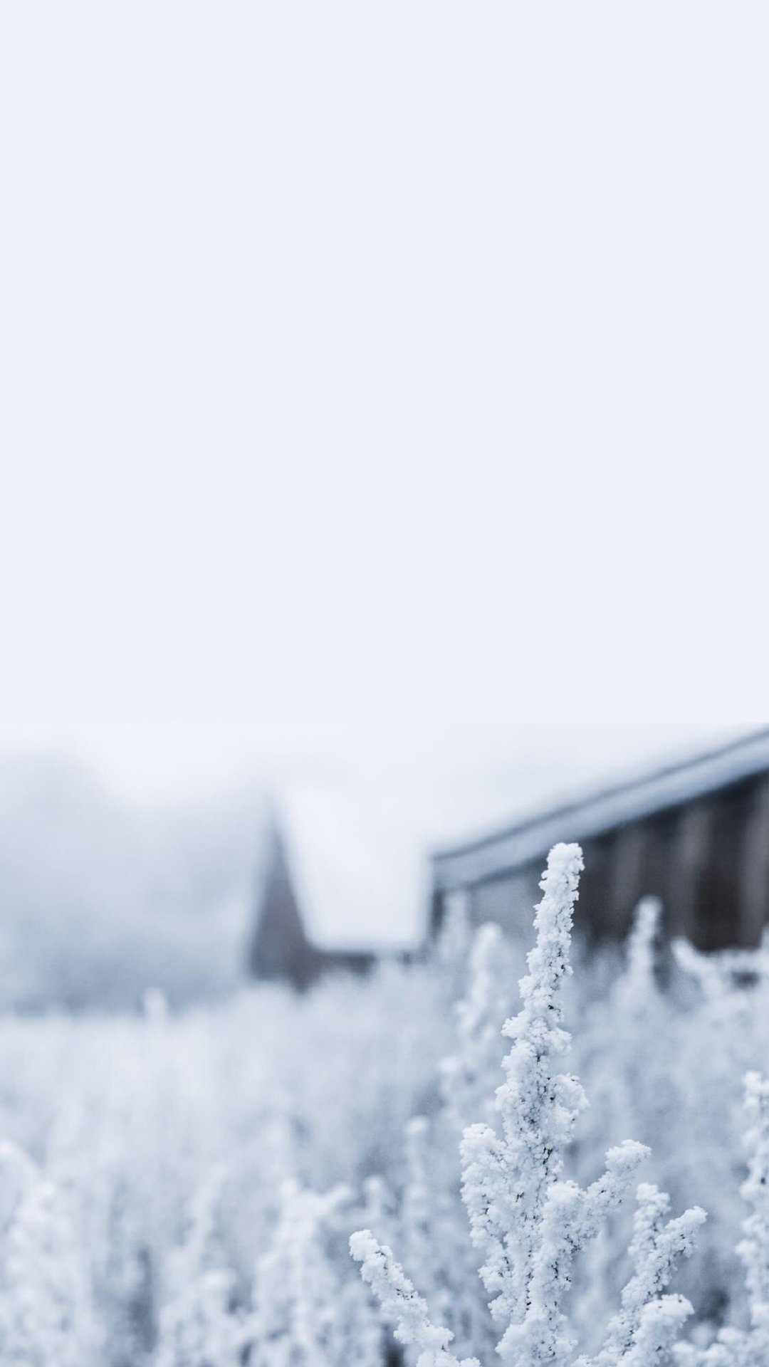 唯美纯白雪景图片高清手机壁纸