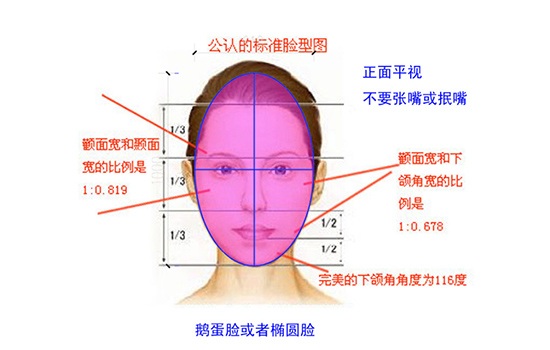 标准脸是鹅蛋脸吗