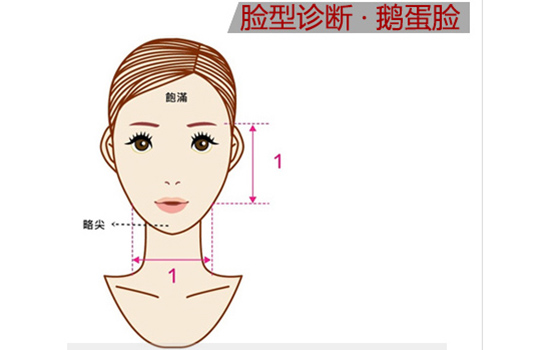 标准脸是鹅蛋脸吗