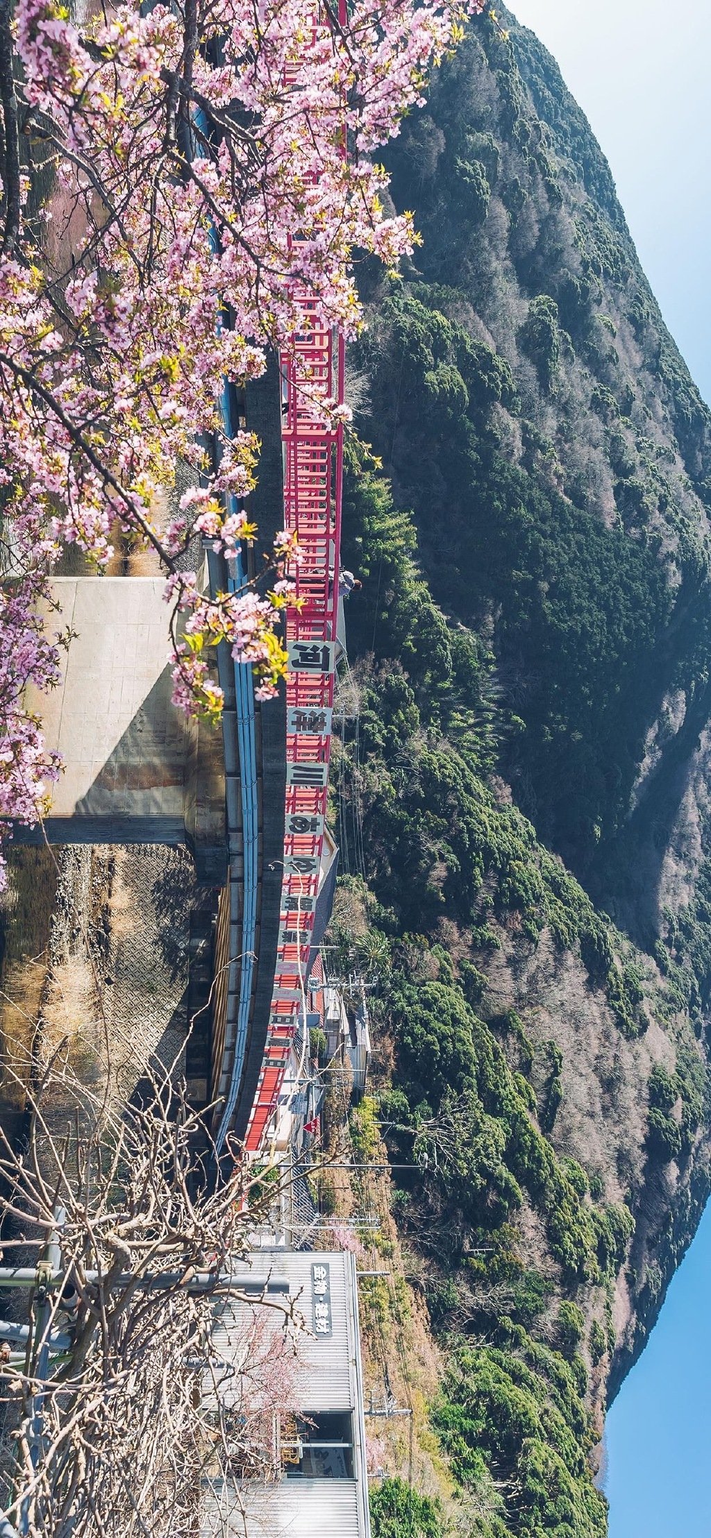 浪漫樱花日式风景高清手机壁纸图片