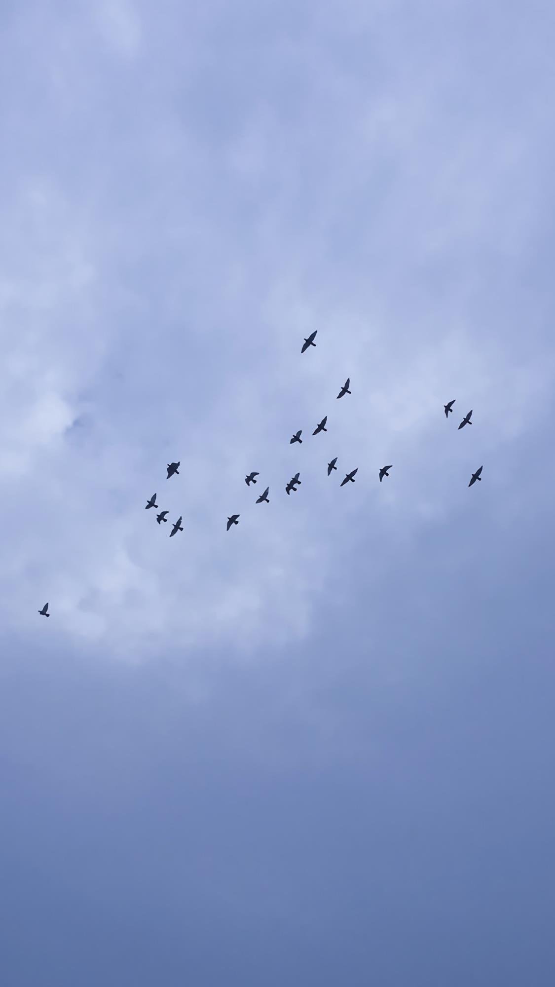 梦之蓝风景摄影小高清手机壁纸图片