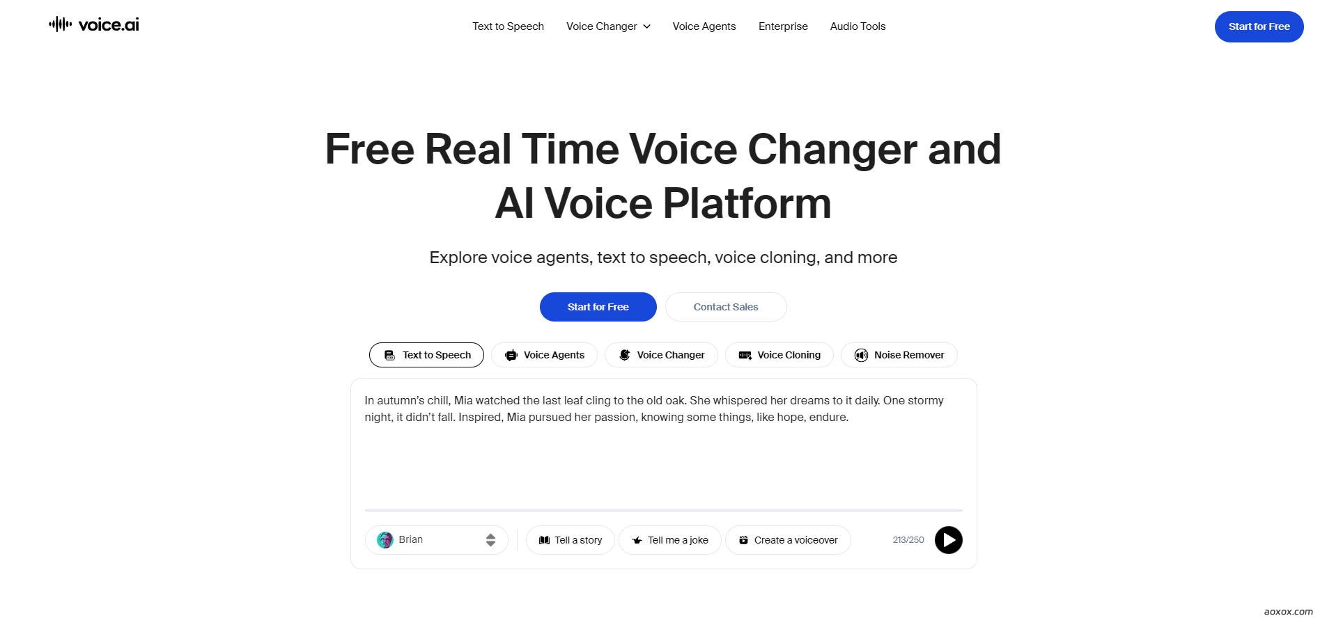 Voice AI