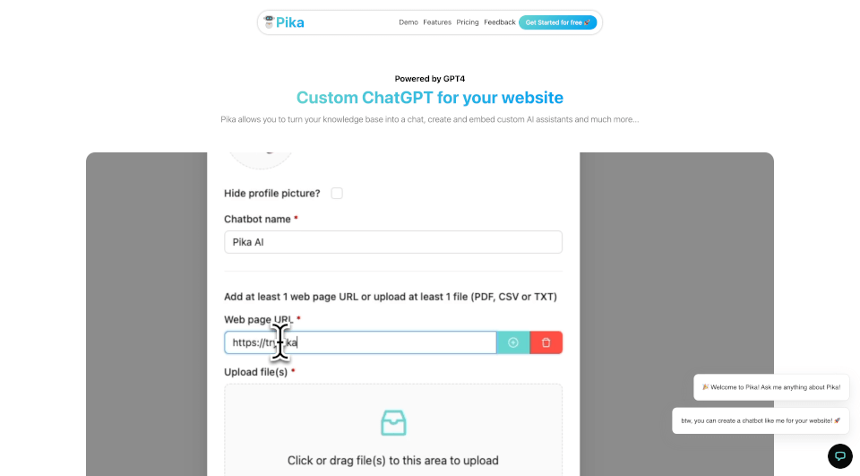 Pika：为你的网站定制智能聊天机器人