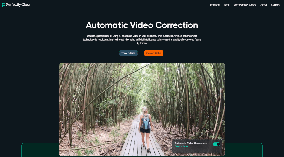 PerfectlyClearVideo：AI自动视频增强工具，提升企业视频质量