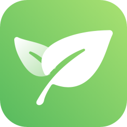 新榜小红书编辑器